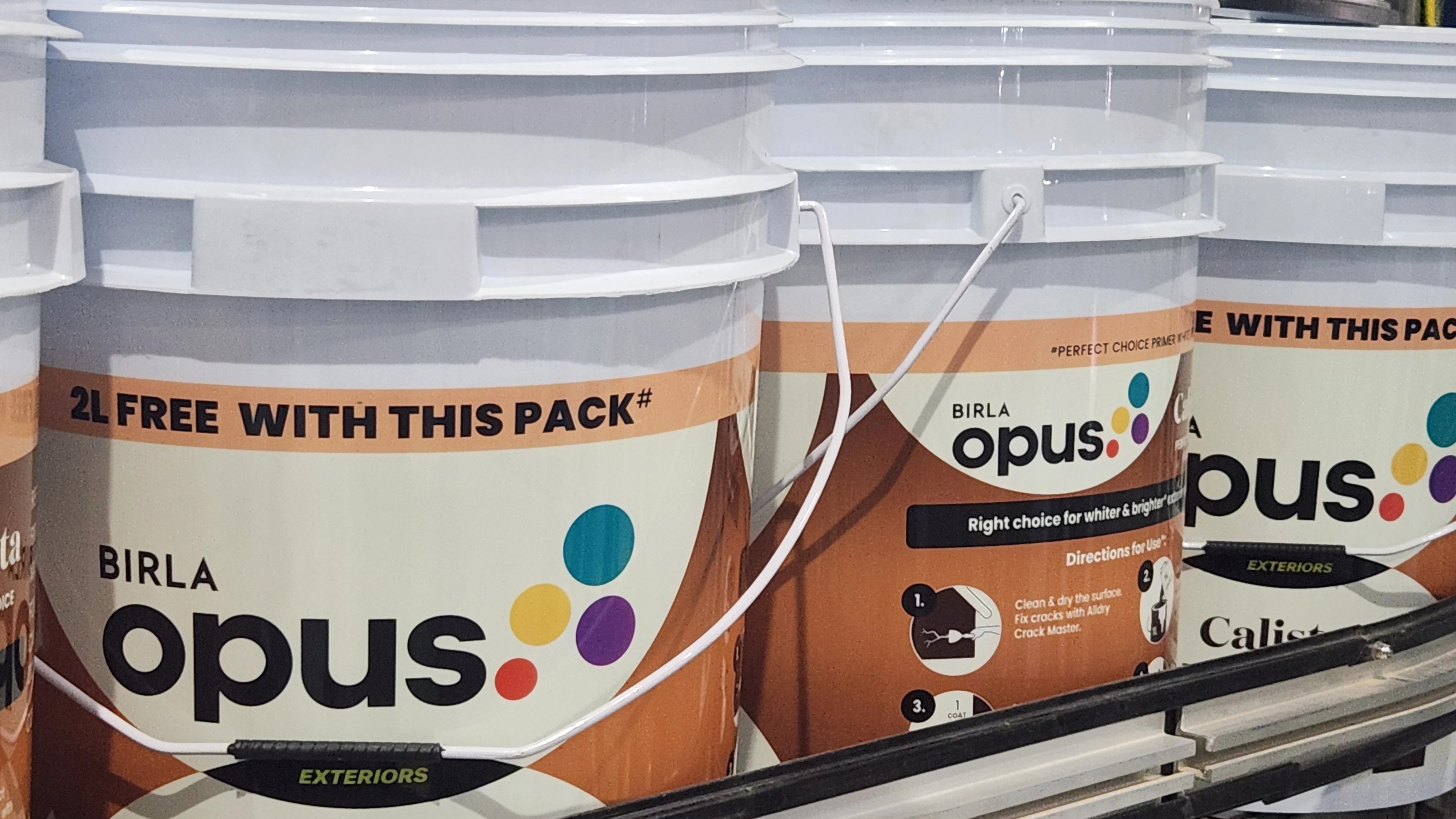 Birla Opus Paints CEO Rakshit Hargave Resigns